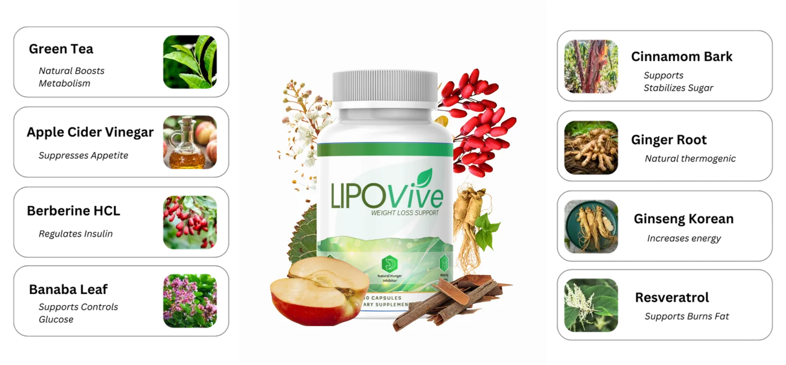 LipoVive Advanced Weight Management Supplement